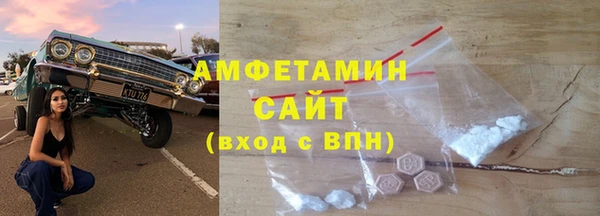 шишки Пересвет