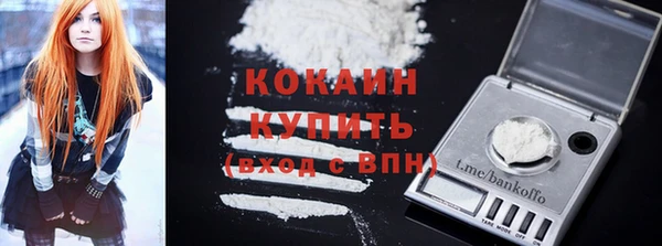 шишки Пересвет