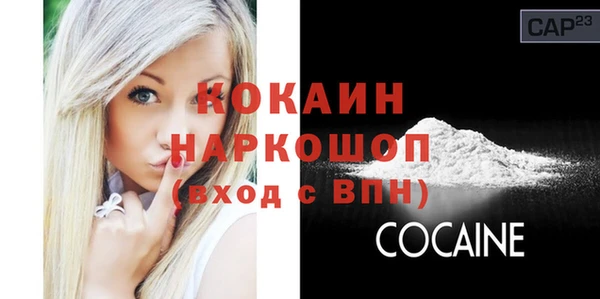 шишки Пересвет