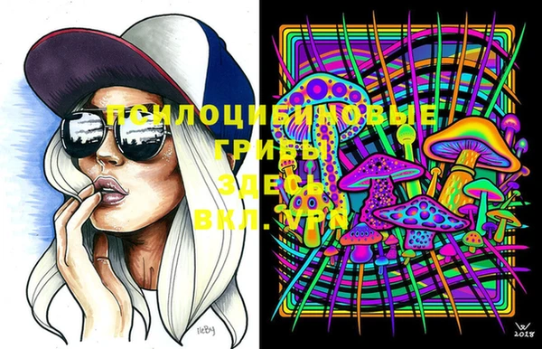 бошки Переславль-Залесский