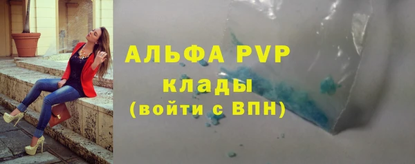 шишки Пересвет