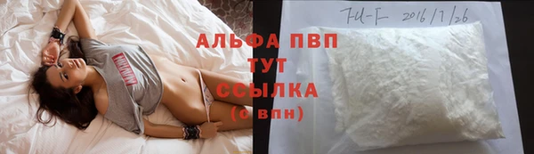 шишки Пересвет