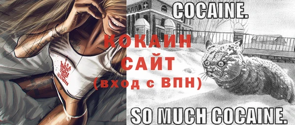 шишки Пересвет