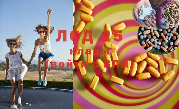 шишки Пересвет
