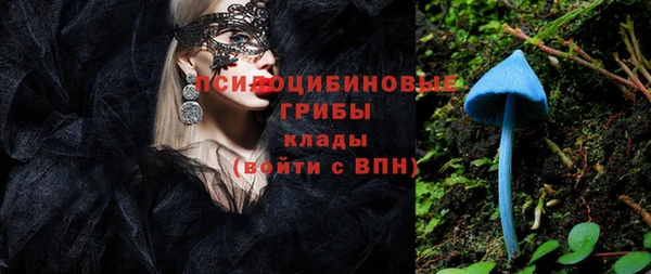 бошки Переславль-Залесский