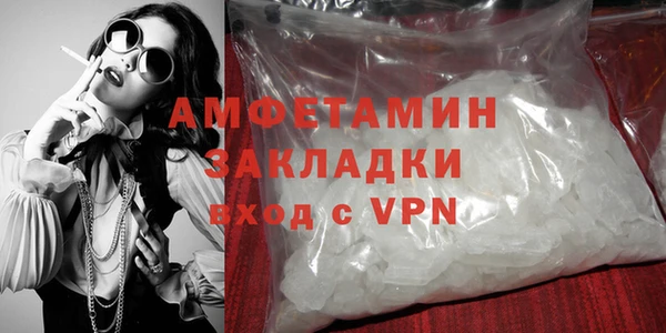 шишки Пересвет