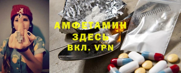 шишки Пересвет